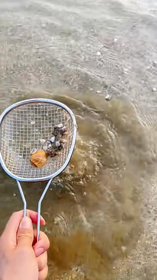 Акриловая витрина из ракушек с магнитами, прочный футляр для хранения безделушек в виде морских звезд для украшений из бисера и ногтей