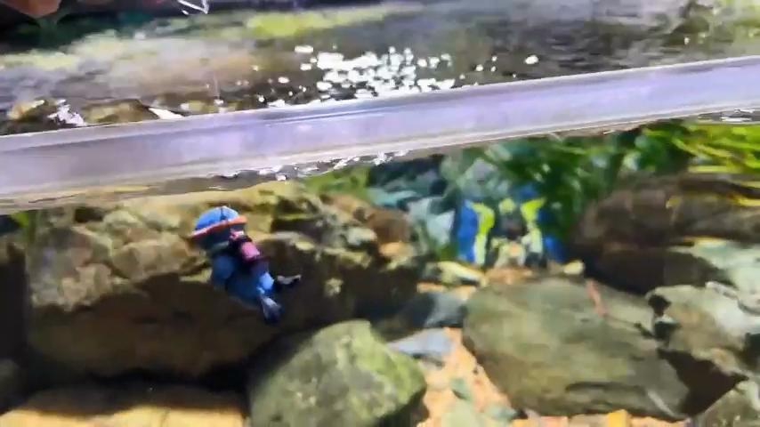Floating Fish Tank Decorations, Aquarium Decorations, Lovely Diver Fish Tank Decorations, Floating Device Fish Tank Accessories