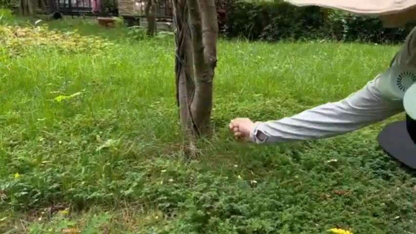 Нетканый разлагаемый материал для защиты колец деревьев от сорняков, многоразовый барьер для контроля корней