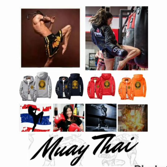 Kickboxing Boxing Tiger Muay Thai  MMA UFC Jacket Hood Sweatshirt Long Sleeve Unisex Men Women Zip Polyester Workout Print Training