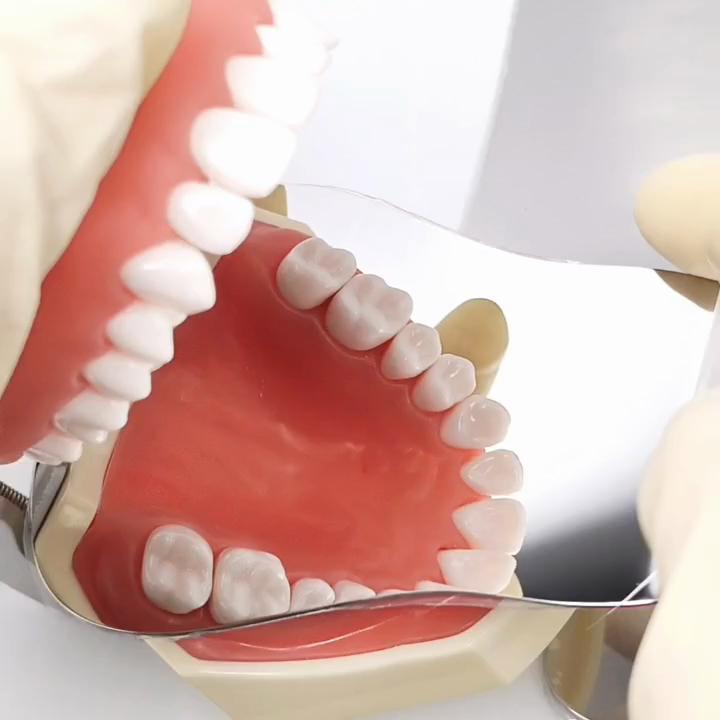 Adjustable Dental Photography Mirror Holder Metal Materials Dentistry Odontologia Orthodontic Oral Care